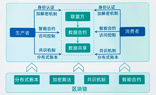 区块链上链数据