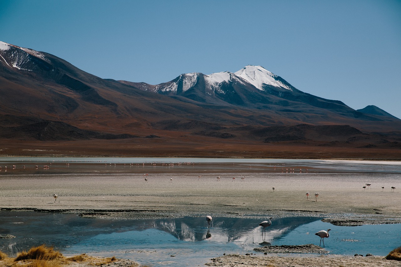 揭秘普陀山，走进佛教圣地的静谧与繁华——深度探索旅游全攻略