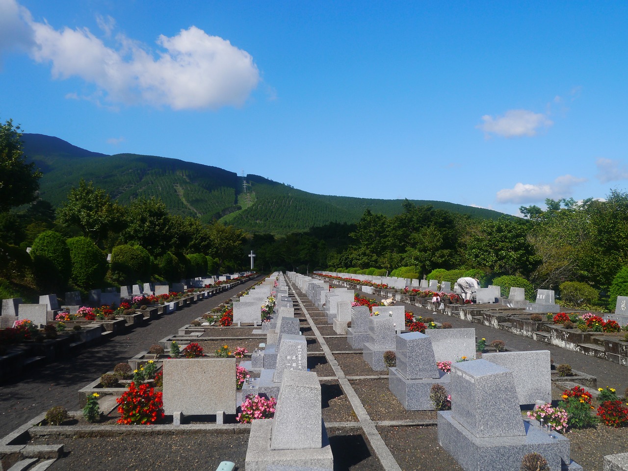 揭秘四姑娘山门票背后的生态价值与旅游攻略